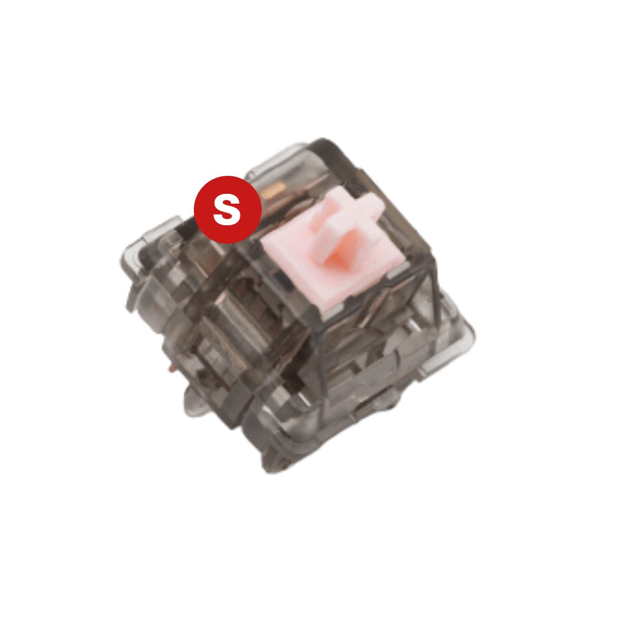 Sample Silent Alpaca Switches - Ascend Keyboards